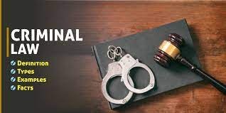 What Is a Criminal Lawyer?